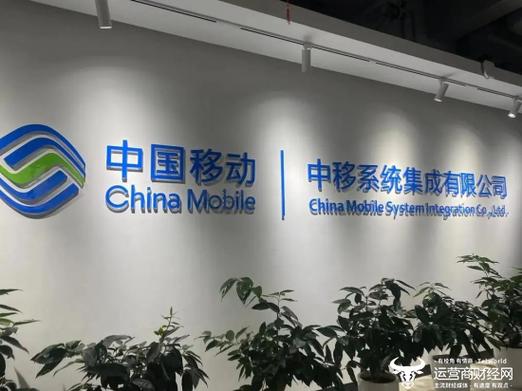 小数点背后的代价 中移系统集成缘何错失1874万元信息化项目